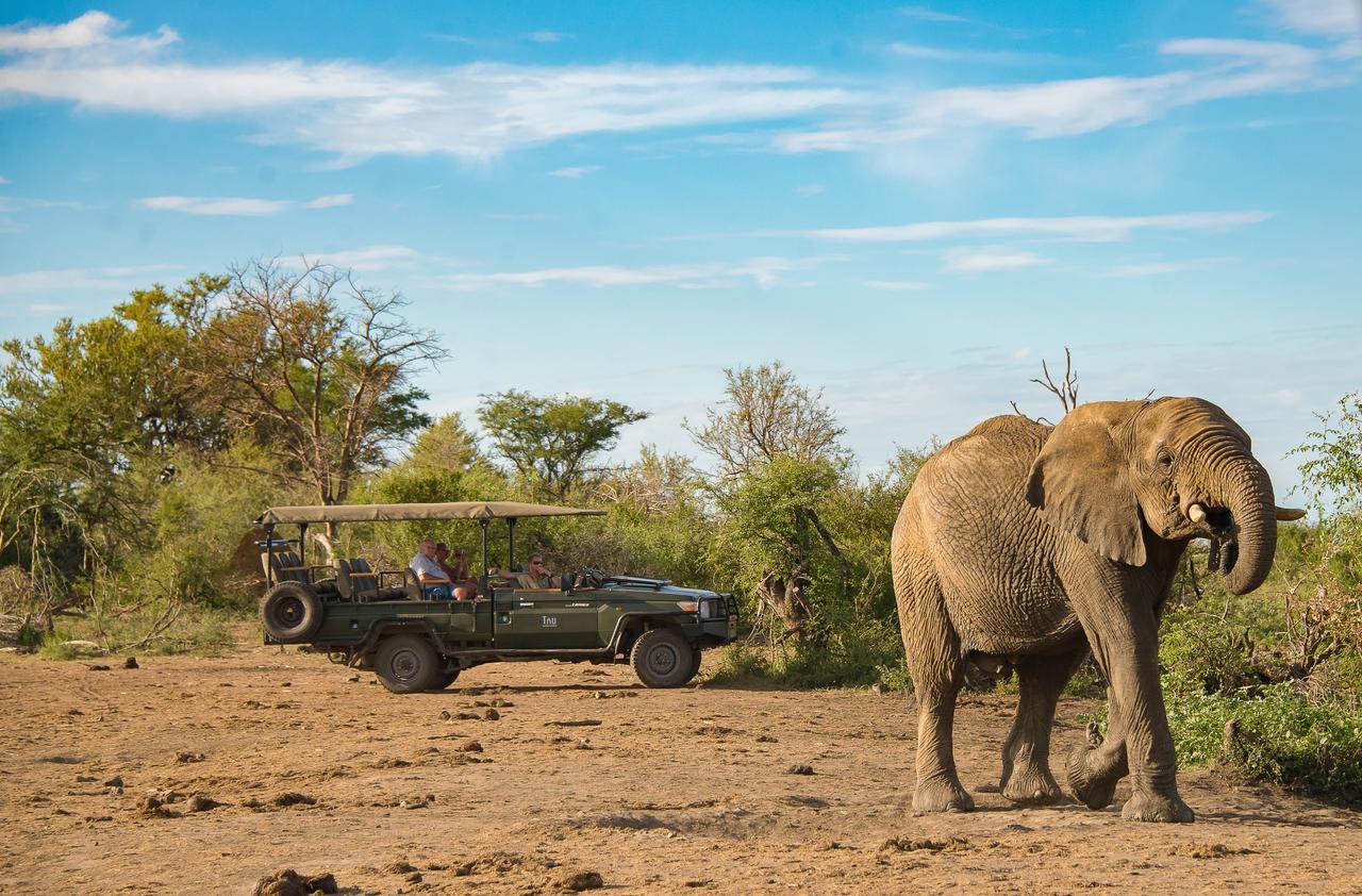 Tau Game Lodge محميّة ماديكوي الطبيعيّة للطرائد المظهر الخارجي الصورة